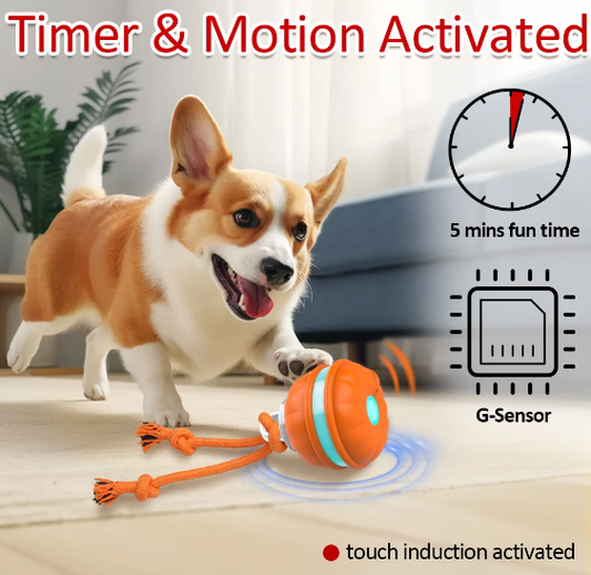 Motion-Activated Interactive Dog Toy Ball