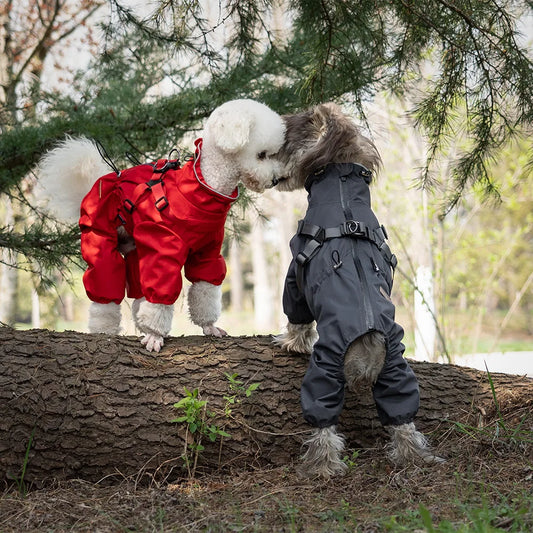 Dog Raincoat with Harness