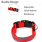 USB Rechargeable LED Dog Collar