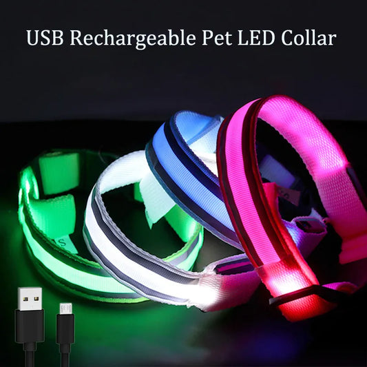 USB Rechargeable LED Dog Collar