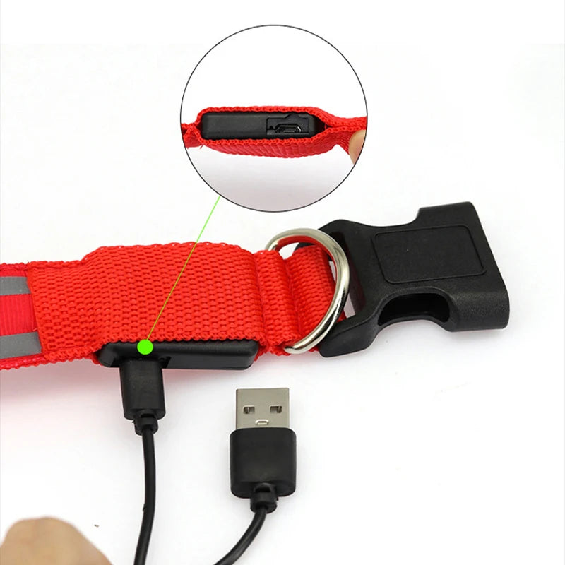 USB Rechargeable LED Dog Collar